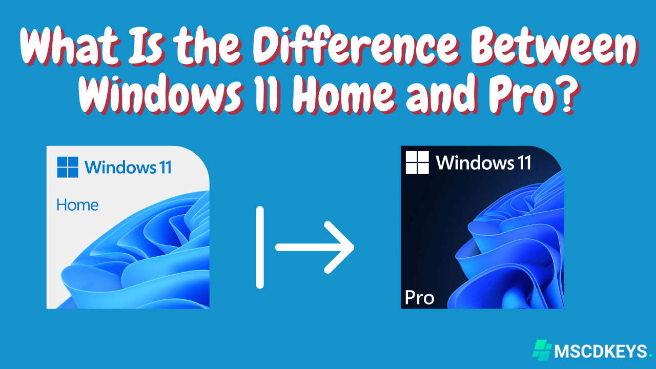 What Is the Difference Between Windows 11 Home and Pro