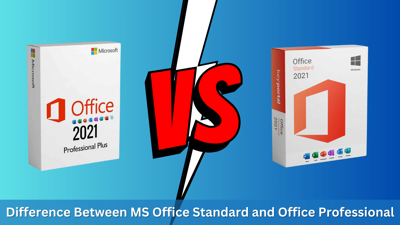 Difference Between MS Office Standard and Office Professional