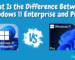 Windows 11 Enterprise vs Pro
